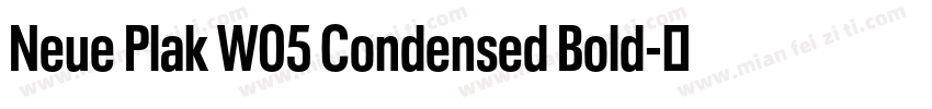 Neue Plak W05 Condensed Bold字体转换 Neue Plak W05 Condensed Bold字体转换